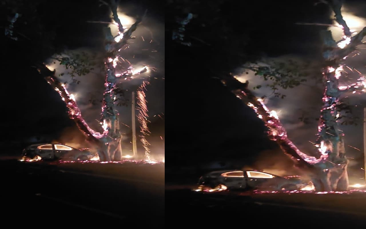 दुमका के ठाड़ीहाट मोड़ के पास पेड़ से टकराई अनियंत्रित कार, जलकर हुई खाक