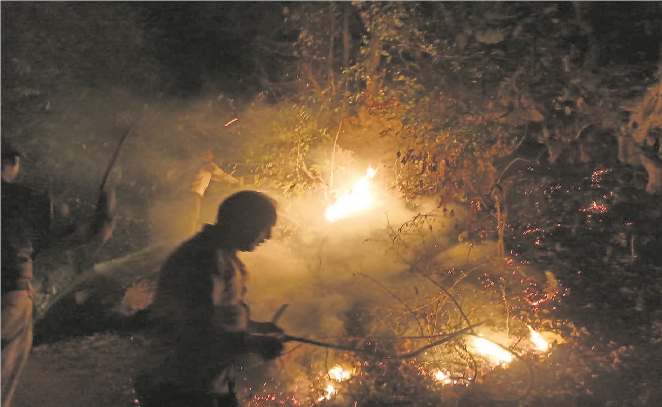 गर्मी की शुरूआत होते ही कैमूर अभ्यारण्य में सुलगने लगा जंगल, पहरे पर लगाये गये वन्यकर्मी