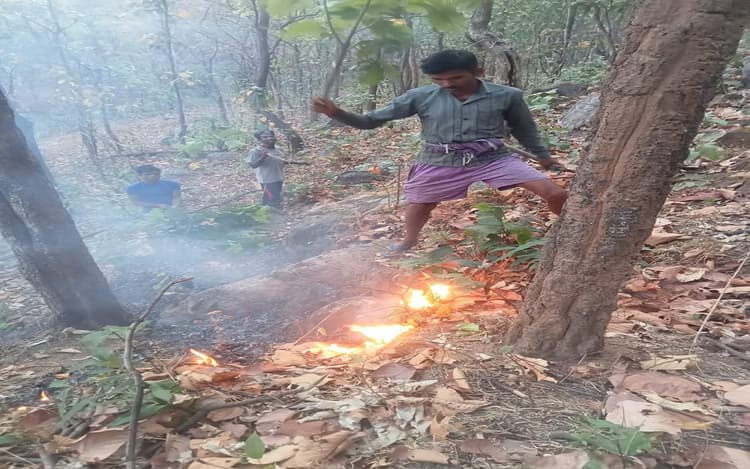झारखंड: झुमरा के जंगलों में लगी भीषण आग, गुफा ने निकले भालू, ग्रामीणों से भागकर बचायी जान