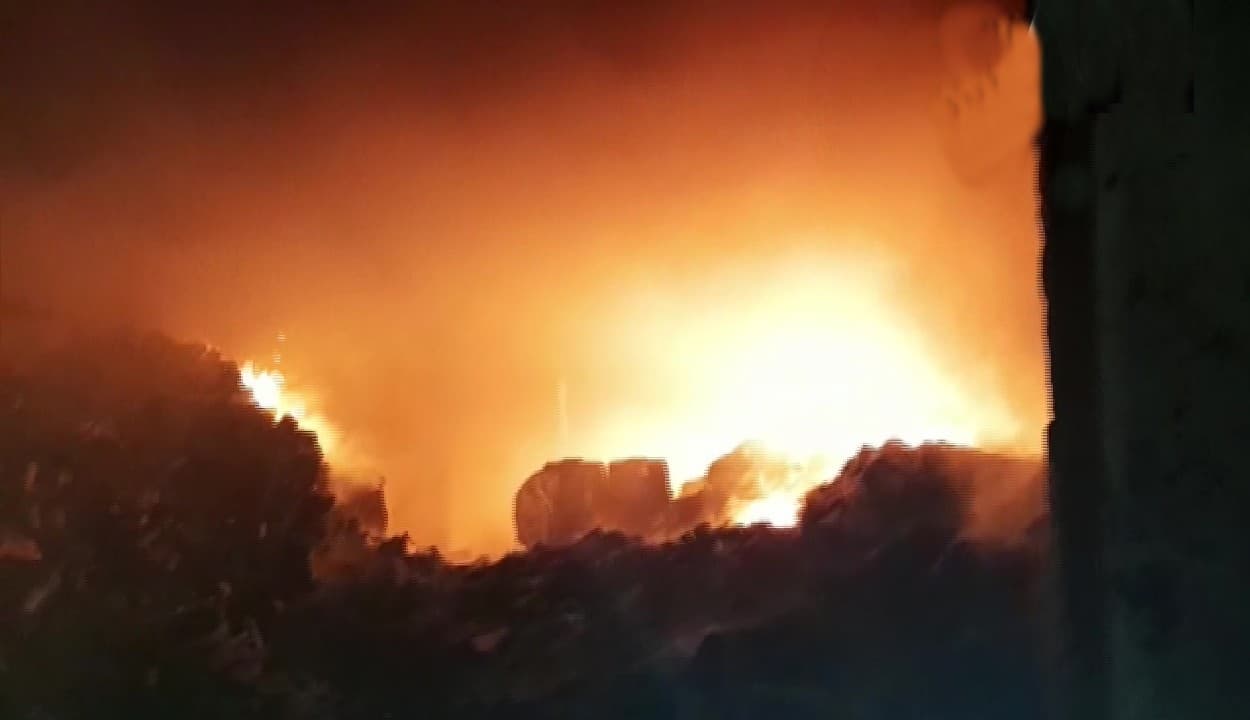 साहिबाबाद में मेडिकल उपकरण बनाने वाली फैक्ट्री में लगी भीषण आग, मालिक समेत 15 लोग झुलसे, दो की हालत बेहद गंभीर