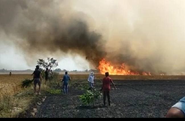 यूपी में बारिश के बाद आग तबाह कर रही फसलें, किसान बीमा लाभ के लिए ऐसे करें आवेदन, ये हैं महत्वपूर्ण नंबर