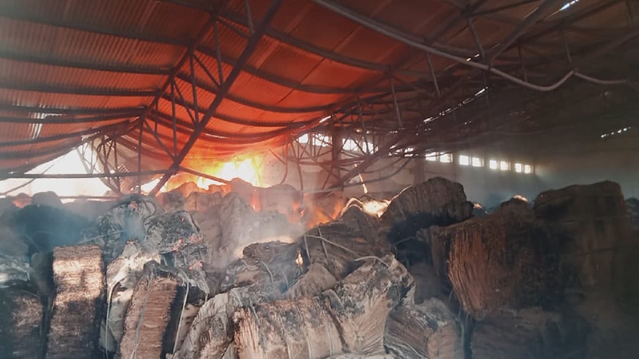 Bihar News: छपरा में अनाज गोदाम में लगी भीषण आग, करोड़ों की संपत्ति जलकर खाक, दमकल की  टीम ने पाया काबू