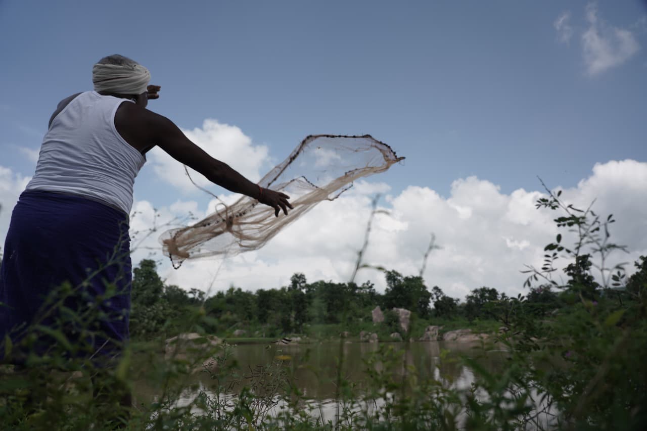 Jharkhand News : झारखंड में मछली पालन से मिल रहा रोजगार, मत्स्य उत्पादकों को हो रही अच्छी आमदनी, नीली क्रांति के लिए इस प्लान पर काम कर रही हेमंत सोरेन सरकार