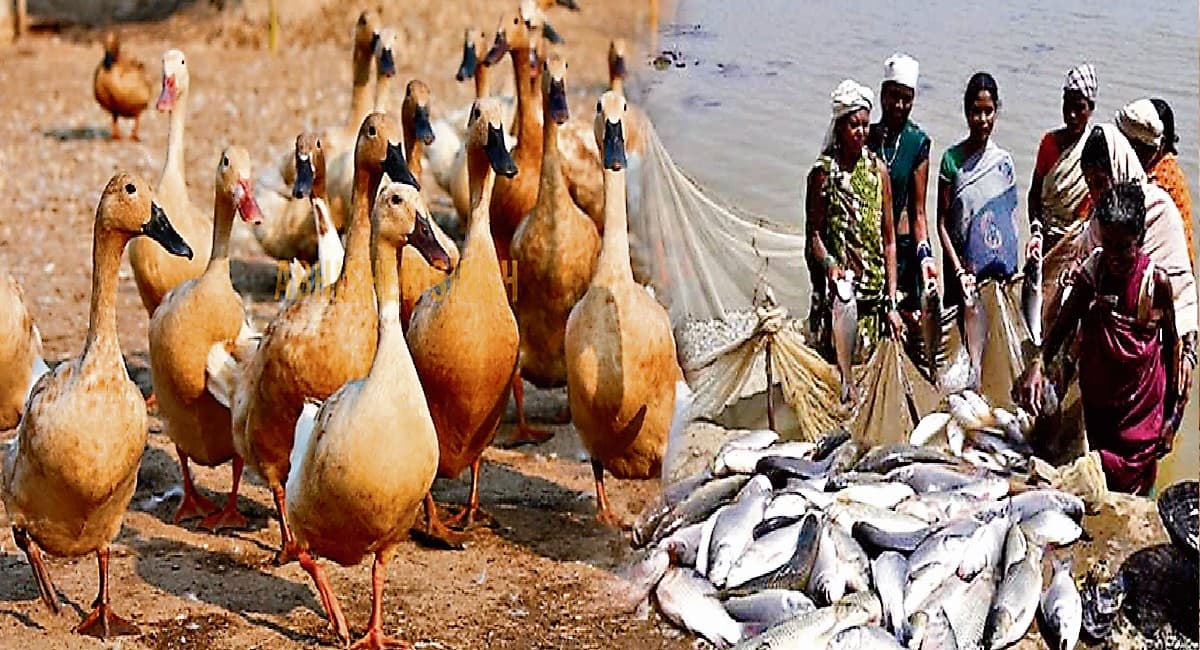 Bihar Budget : बिहार में घट गया खेती का रकबा, पर पशुधन बढ़ा, जानिये कृषि क्षेत्र में कैसे कायम रहा विकास