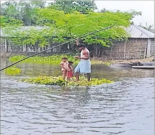Bihar Flood 2020 : बरंडी व कोसी नदी के जलस्तर में ऊफान जारी, महानंदा, कारी कोसी व गंगा के उतार-चढ़ाव ने बढ़ाई ग्रामीणों की परेशानी
