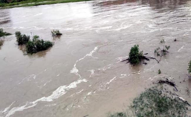 बकरा नदी का कटान हो गया तेज दहशत में ग्रामीण तोड़ रहे हैं घर