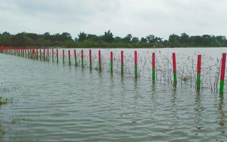 वन विभाग की लापरवाही से रांची में भारी बारिश में डूब गये 3100 पौधे, 72वें वन महोत्सव का CM से कराया था उद्घाटन