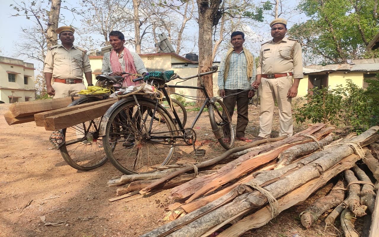 झारखंड: तस्करों के खिलाफ वन विभाग की छापामारी तेज, करीब एक लाख की लकड़ी जब्त, 4 आरोपियों को जेल