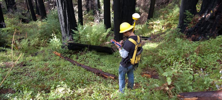 पर्यावरण दिवस विशेष : पर्यावरण से है प्यार, तो आपके लिए इन क्षेत्रों में संभावनाएं हैं अपार
