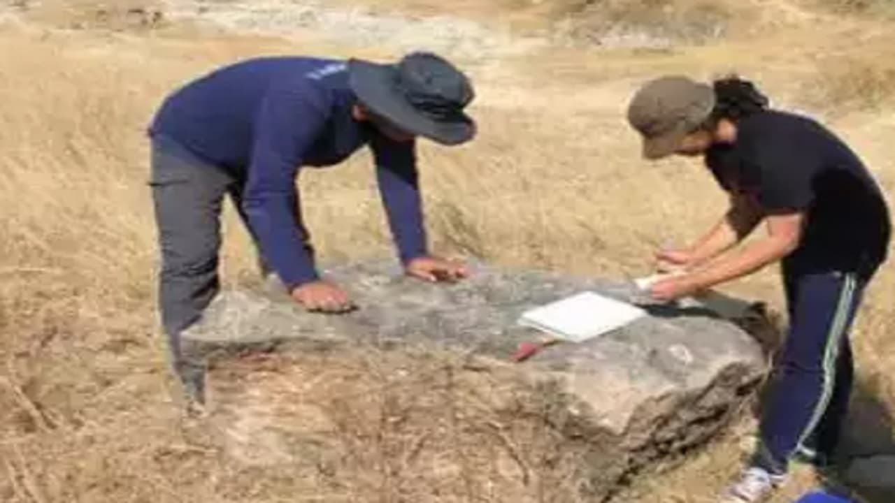 मध्य प्रदेश के धार में पाए गए टाइटनोसॉर के 256 जीवाश्म अंडे, शोध में सामने आई ये जानकारी