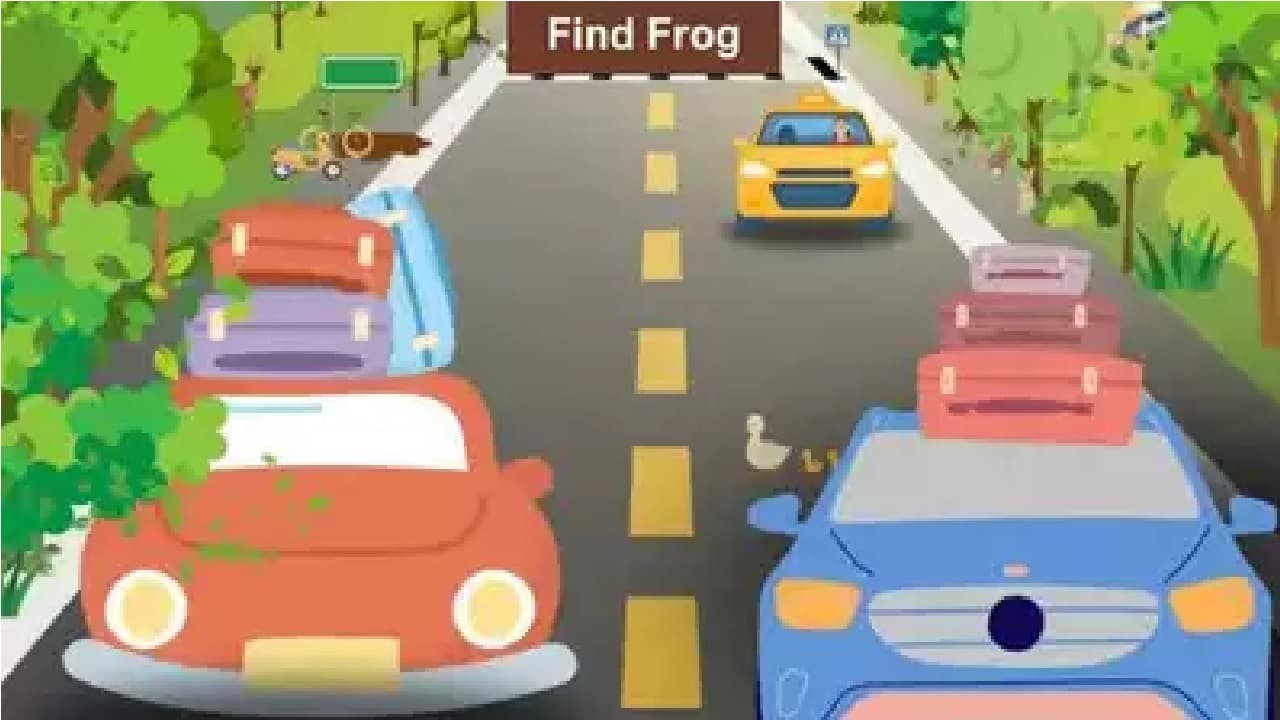 हाईवे पर फ्रॉग है, 30 सेकेंड में खोजकर दिखाएं, तब मानेंगे आपको जीनियस