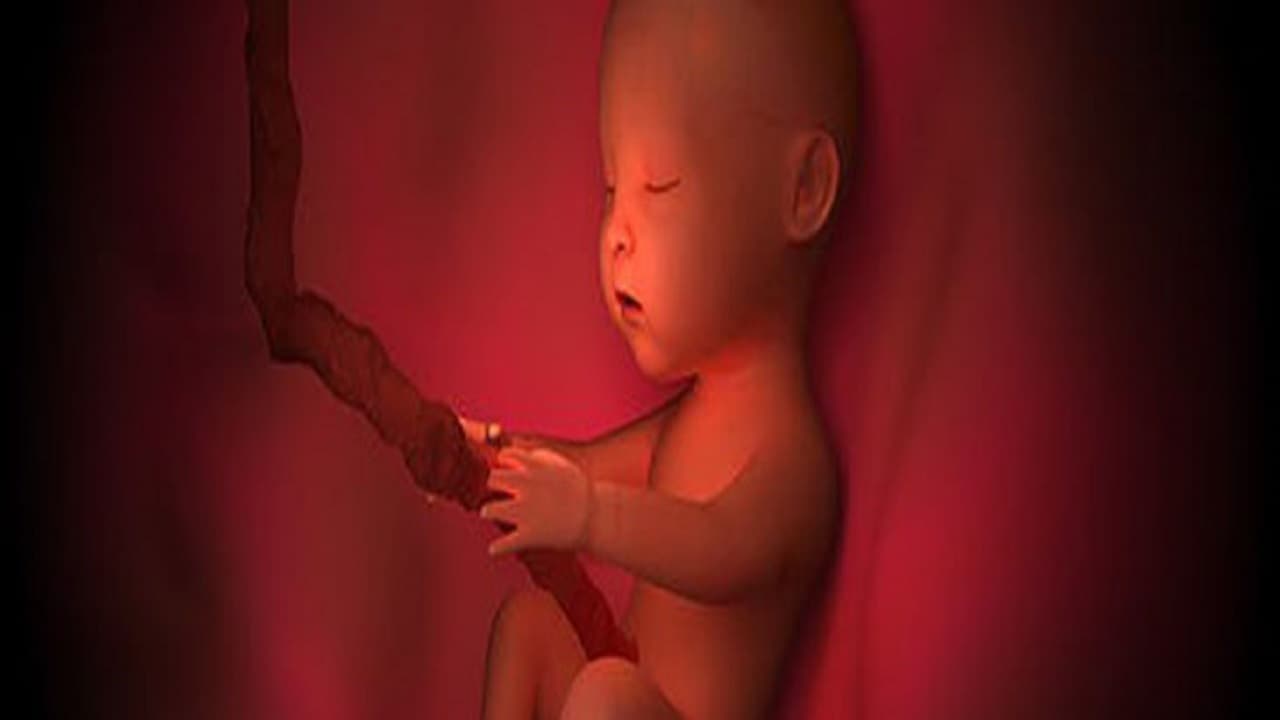 फोजिस रिसर्च कमिटी का वर्कशाप आज, देशभर से शामिल होंगे डॉक्टर