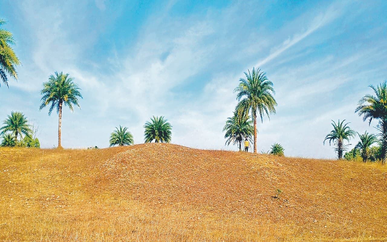 Picnic Spot: नये साल पर पिकनिक मनाने के लिए गिरिडीह के इन जगहों पर उमड़ती है भीड़, एक बार जरूर करें विजिट