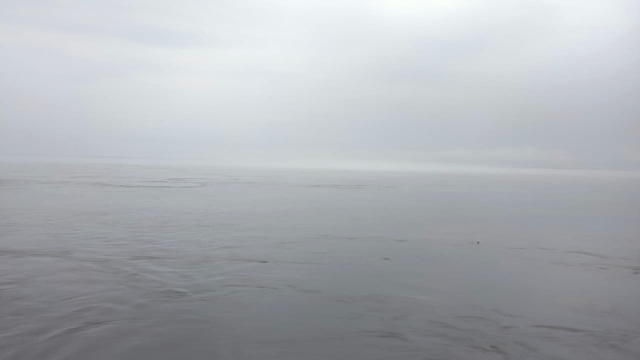 बिहार में गंडक, बागमती, कोसी व परमान नदी लाल निशान के पार, नदियों में उफान को देखकर जारी हुआ अलर्ट..