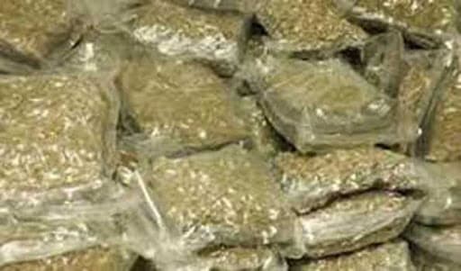 Bihar News: झारखंड के रास्ते ओड़िशा से पटना आ रहा साढ़े सात क्विंटल किलो गांजा बरामद, पुलिस ने ट्रक से ऐसे निकाला