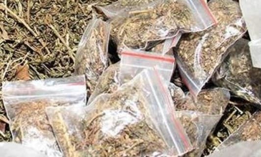 गांजा प्लांट कर निर्दोष को फंसाने वाला भागा अफ्रीका