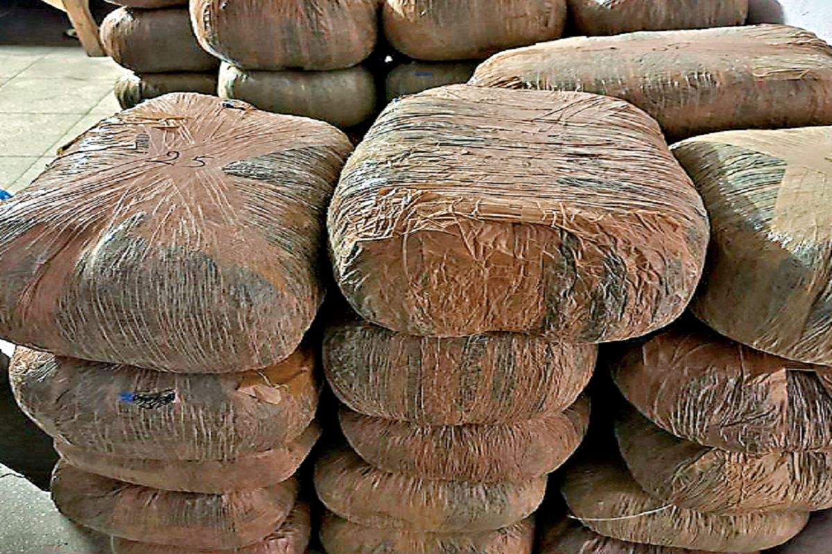 रांची में ट्रक से 1000 किलो गांजा धराया, ओड़िशा से ले जाया जा रहा था बिहार