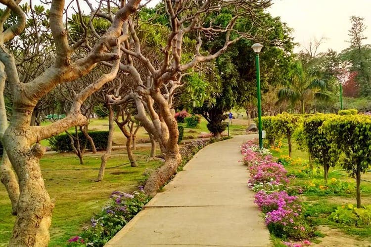 दिल्ली में पार्क और गार्डन खुले, इन गाइडलाइनों का करना होगा पालन