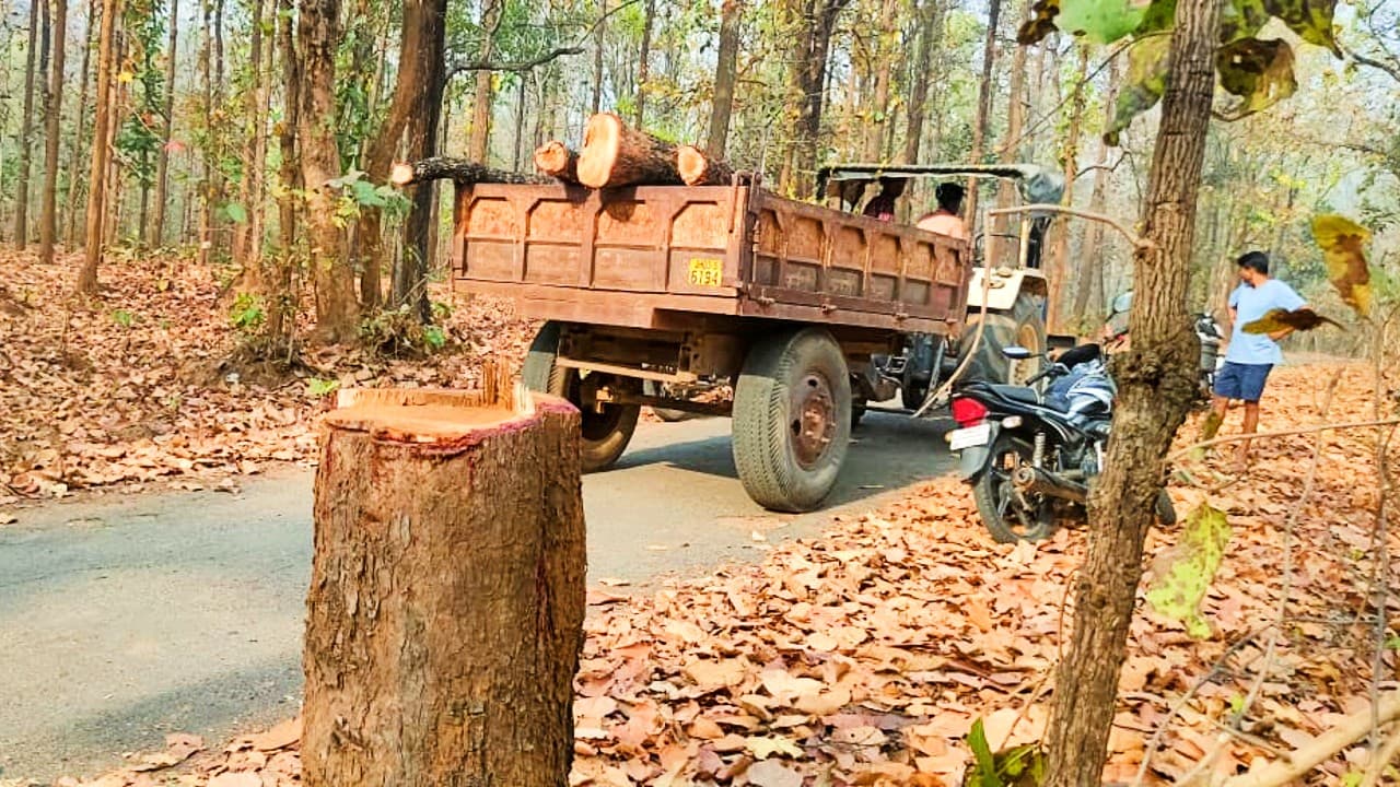 गढ़वा: तस्कर को पकड़ने गयी वन विभाग व वन समिति की आपस में हुई भिड़ंत, फिर...
