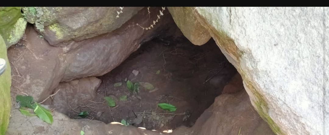 Jharkhand News : झारखंड के गढ़वा में साहिल का शिकार करने गुफा में घुसे 3 लोगों की मौत, रेस्क्यू में जुटी टीम