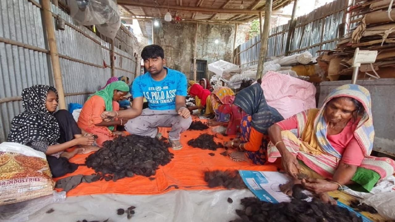 ड्रैगन फ्रूट की खेती में किस्मत आजमा रहे हैं लोहरदगा के किसान