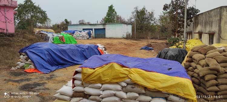 गढ़वा के रमकंडा में केंद्र पहुंचने से पहले ही 3000 क्विंटल धान की हो गयी फर्जी खरीदारी, FCI के अधिकारियों व बिचौलियों की मिलीभगत पर पढ़िए ये रिपोर्ट