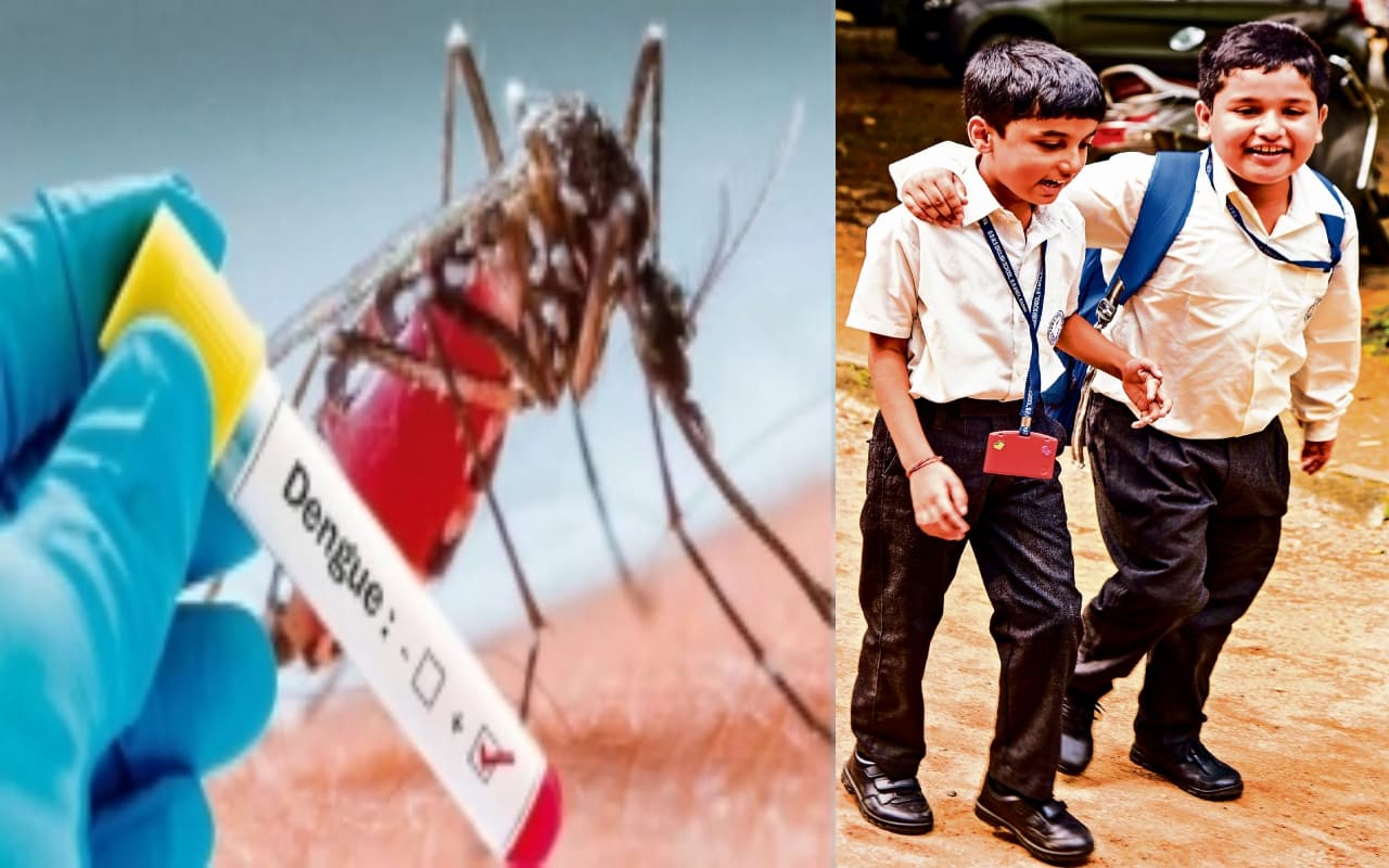 जमशेदपुर में डेंगू से तीन छात्रों की मौत के बाद एडवाइजरी जारी, फुल शर्ट-पैंट पहन कर स्कूल आएं बच्चे