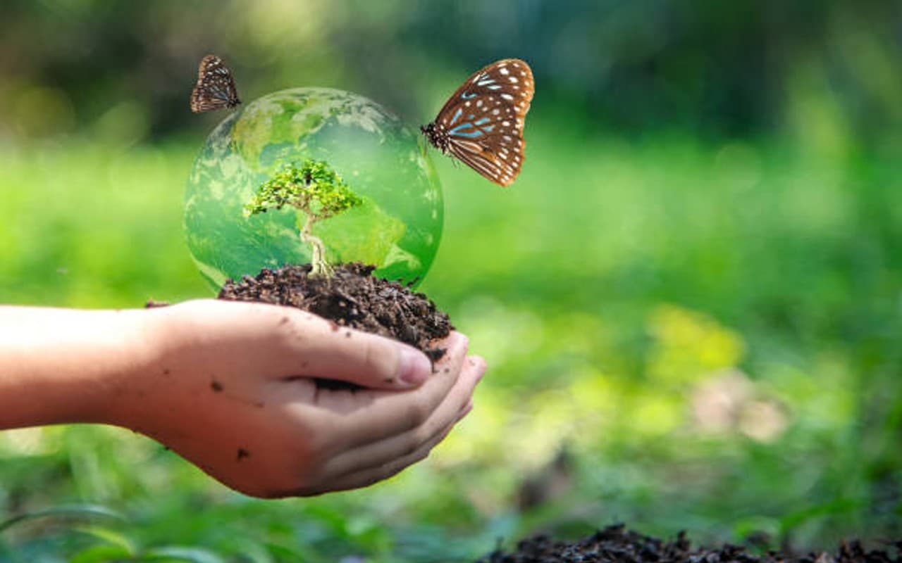 World Soil Day 2022: जानिए विश्व मृदा दिवस का इतिहास, महत्व और इस साल का विषय