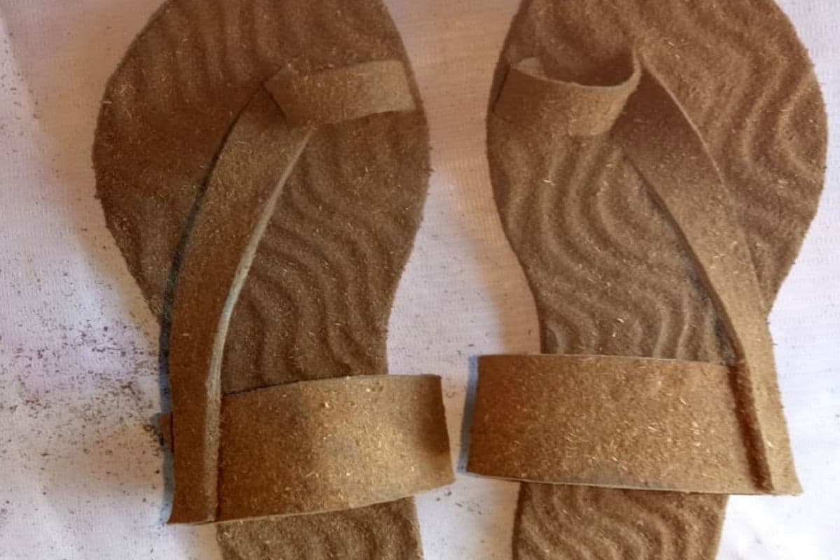 गोबर से बनी यह डिवाइस खत्म करती है मोबाइल रेडिएशन, चप्पल के भी दिव्यकांत ने गिनाये फायदे