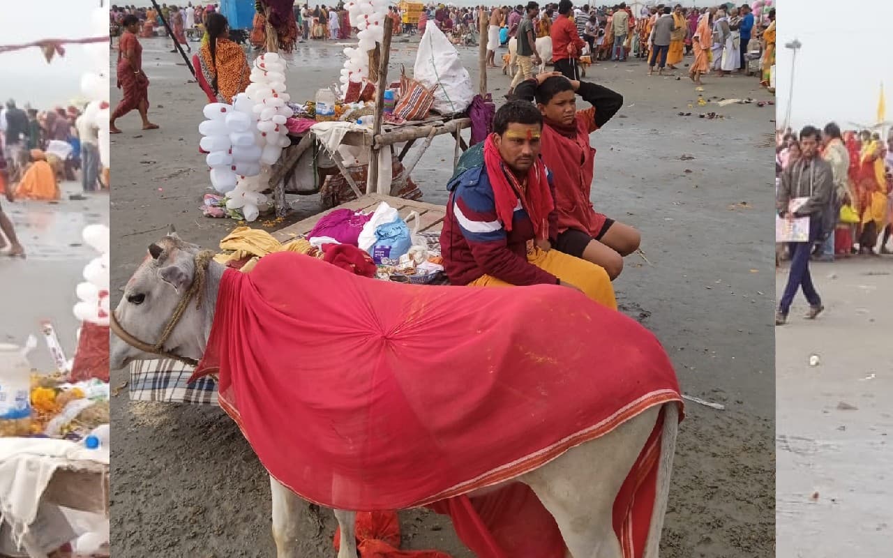 Gangasagar Mela: यजमान नहीं करा रहे ‘गोदान’ पंडित हैं निराश, सागर के दलदली तट पर पांव जमाना मुश्किल