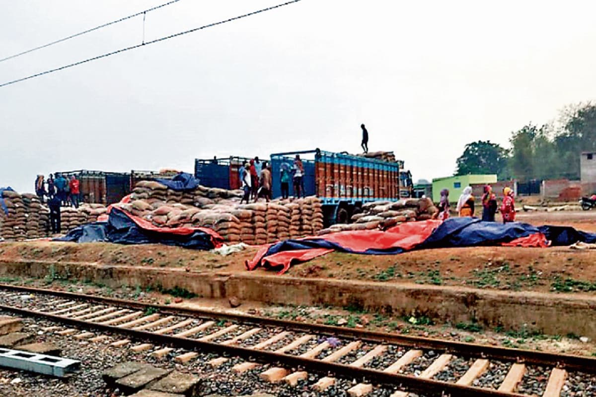 झारखंड के 20 लाख हरा कार्डधारियों को 7 माह से नहीं मिल रहा है राशन, अब सरकार करेगी FCI से चावल की खरीद