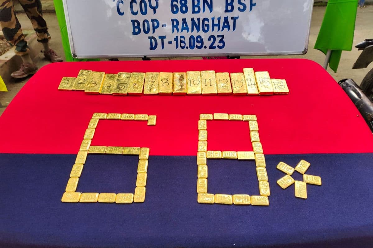 बीएसएफ ने 14 करोड़ के सोने के 50 बिस्कुटों समेत युवक को किया गिरफ्तार