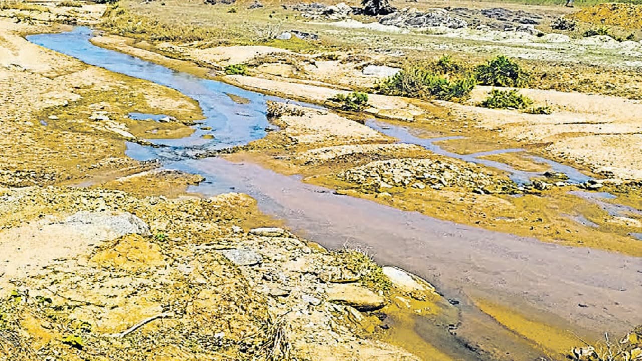 सोना उगलती है बिहार के जमुई की माटी, गर्भ में देश का 44 प्रतिशत गोल्ड भंडार, चर्चा से क्षेत्र में जगी आस