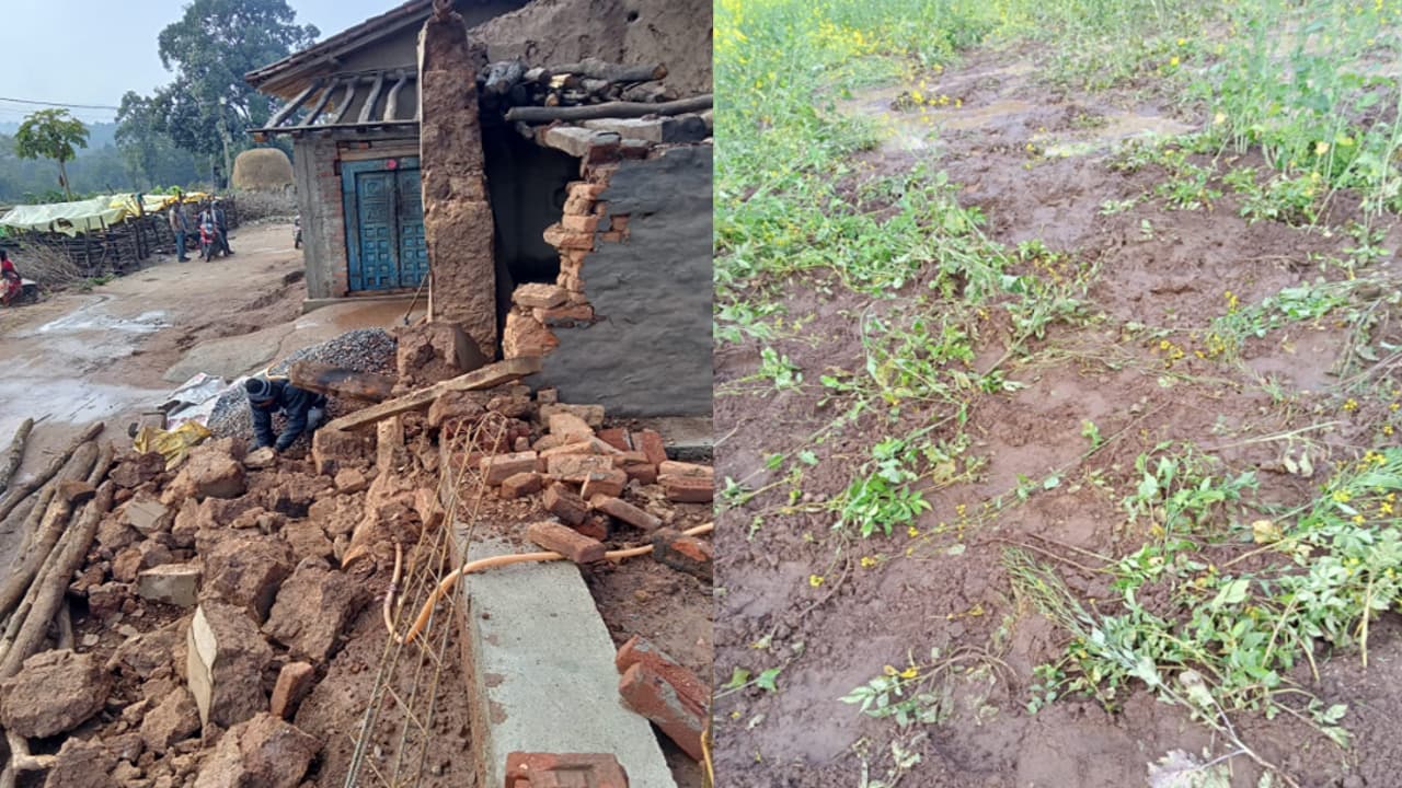 Jharkhand news: बोकारो के रोला गांव में हाथियों का उत्पात, 9 घरों को किया क्षतिग्रस्त, खड़ी फसलों को भी रौंदा