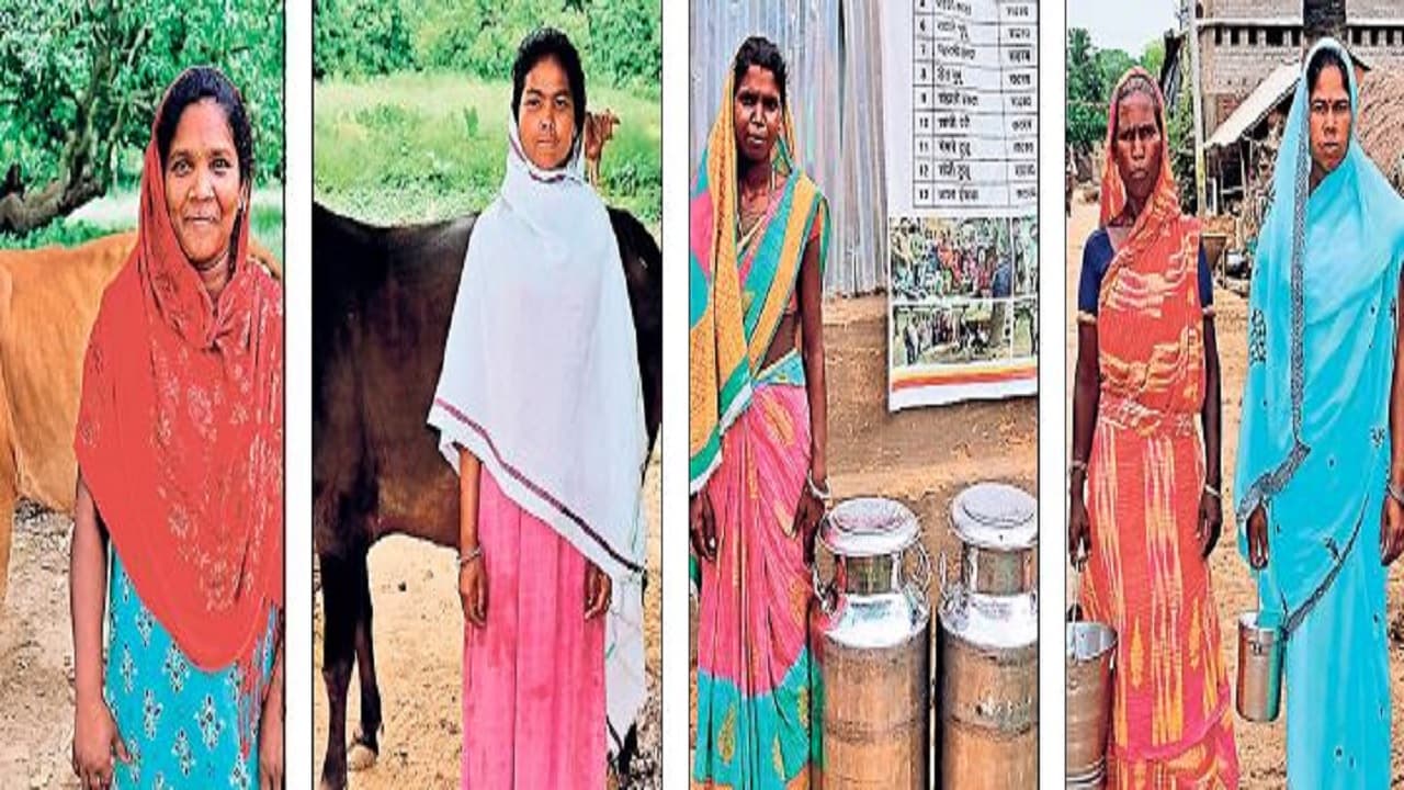 Bihar: ताड़ी बेचने वाली महिलाएं शराबबंदी के बाद बनीं जीविका दीदी, अब गाय पालकर डेयरी को बेच रहीं दूध