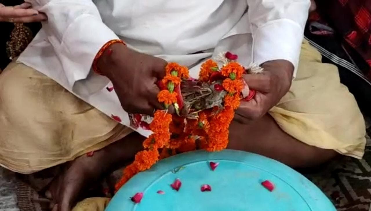 गोरखपुर में बारिश के लिए किया अनोखा टोटका, मंदिर में मेंढक और मेंढकी की कराई शादी गोरखपुर में बारिश के लिए किया अनोखा टोटका, मंदिर में मेंढक और मेंढकी की कराई शादी