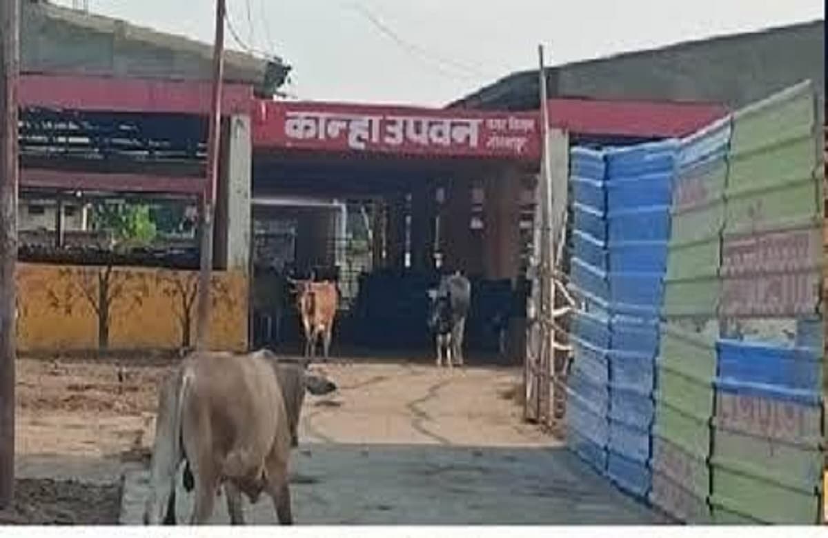 Gorakhpur News: GDA के निशाने पर अवैध कॉलोनियां, ड्रोन से किया जा रहा चिन्हित