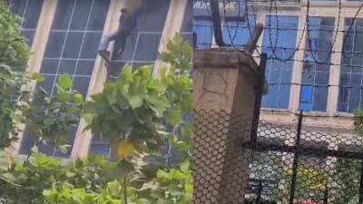 Galaxy Plaza Fire: ग्रेटर नोएडा के गैलेक्सी प्लाजा में लगी भीषण आग, जान बचाने के लिए बिल्डिंग से कूदे लोग