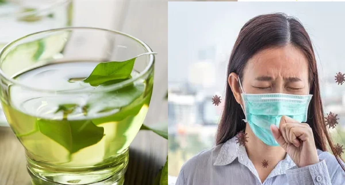 Green Tea Prevent Covid-19: ग्रीन टी पीने वालों को नहीं होता कोविड-19 संक्रमण ? जानें क्या है सच