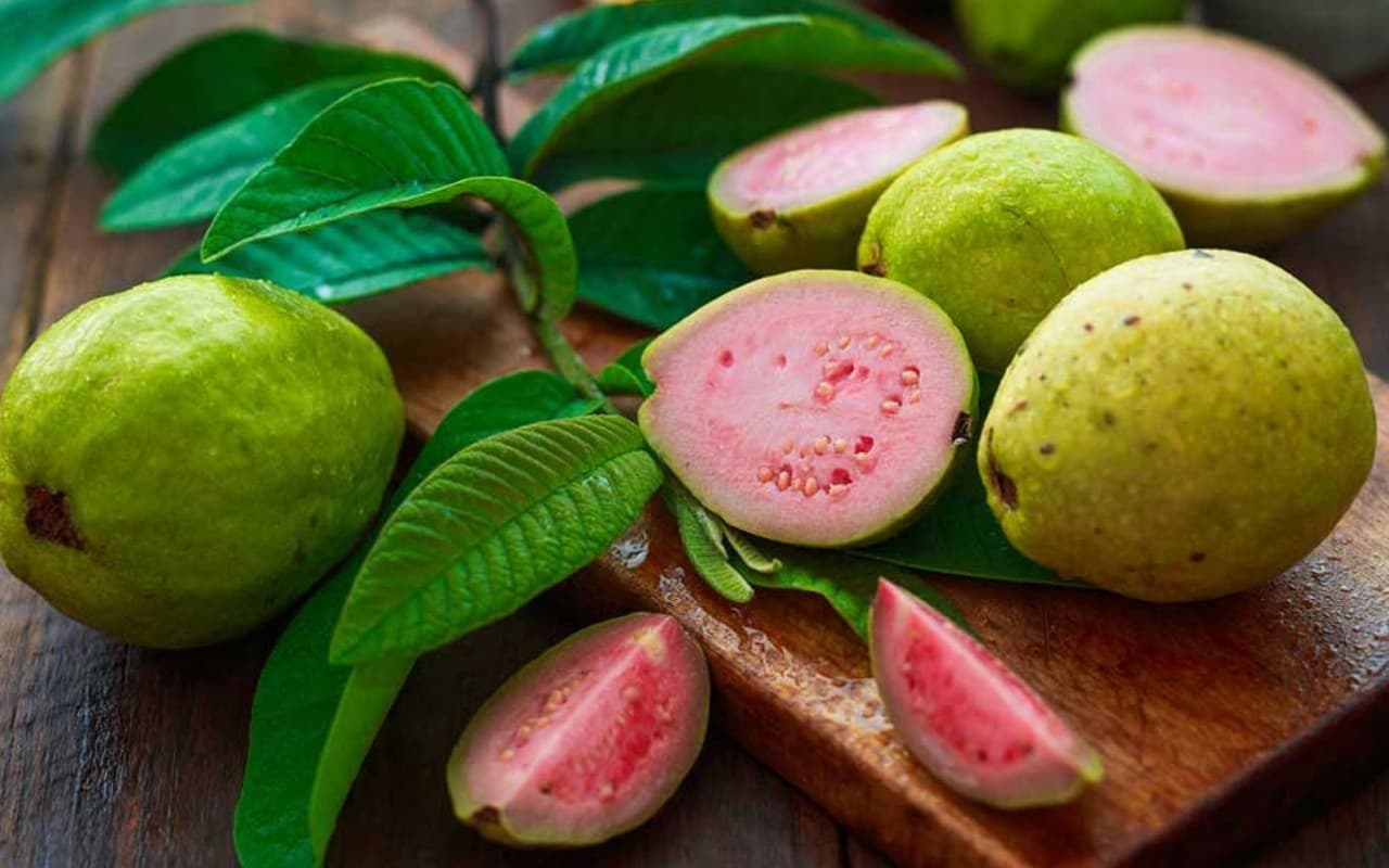 Guava Health Benefits: अमरूद खाने से बीपी, शुगर में मिलते हैं चौंकाने वाले फायदे,वजन कम करने में भी कारगर
