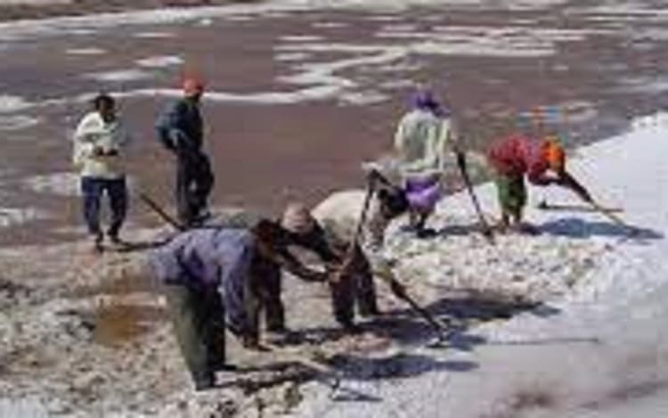 देश को नमक खिलाने वाले गुजरात के नमक मजदूरों और मछुआरों की सुध लेगी बीजेपी की नयी सरकार ?