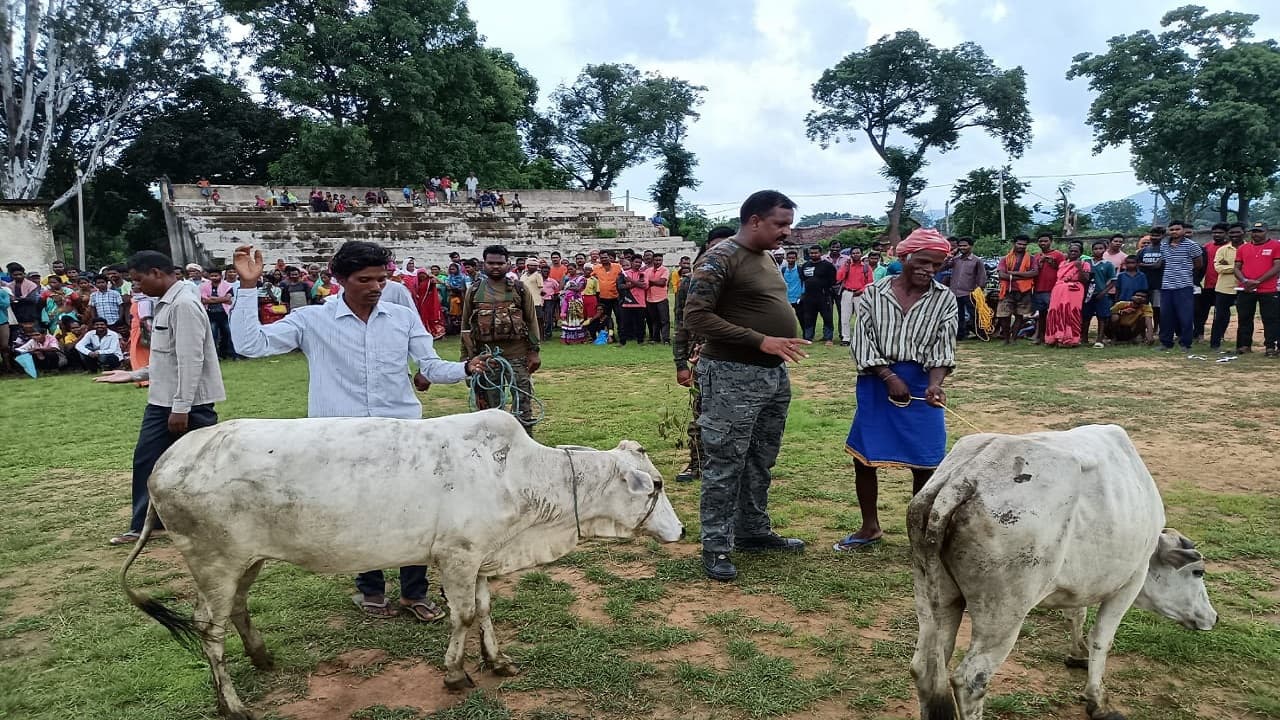 Jharkhand News : झारखंड में पशु तस्करों का दुस्साहस, बल-बाल बचे थानेदार, 7 तस्कर अरेस्ट, 57 मवेशी जब्त