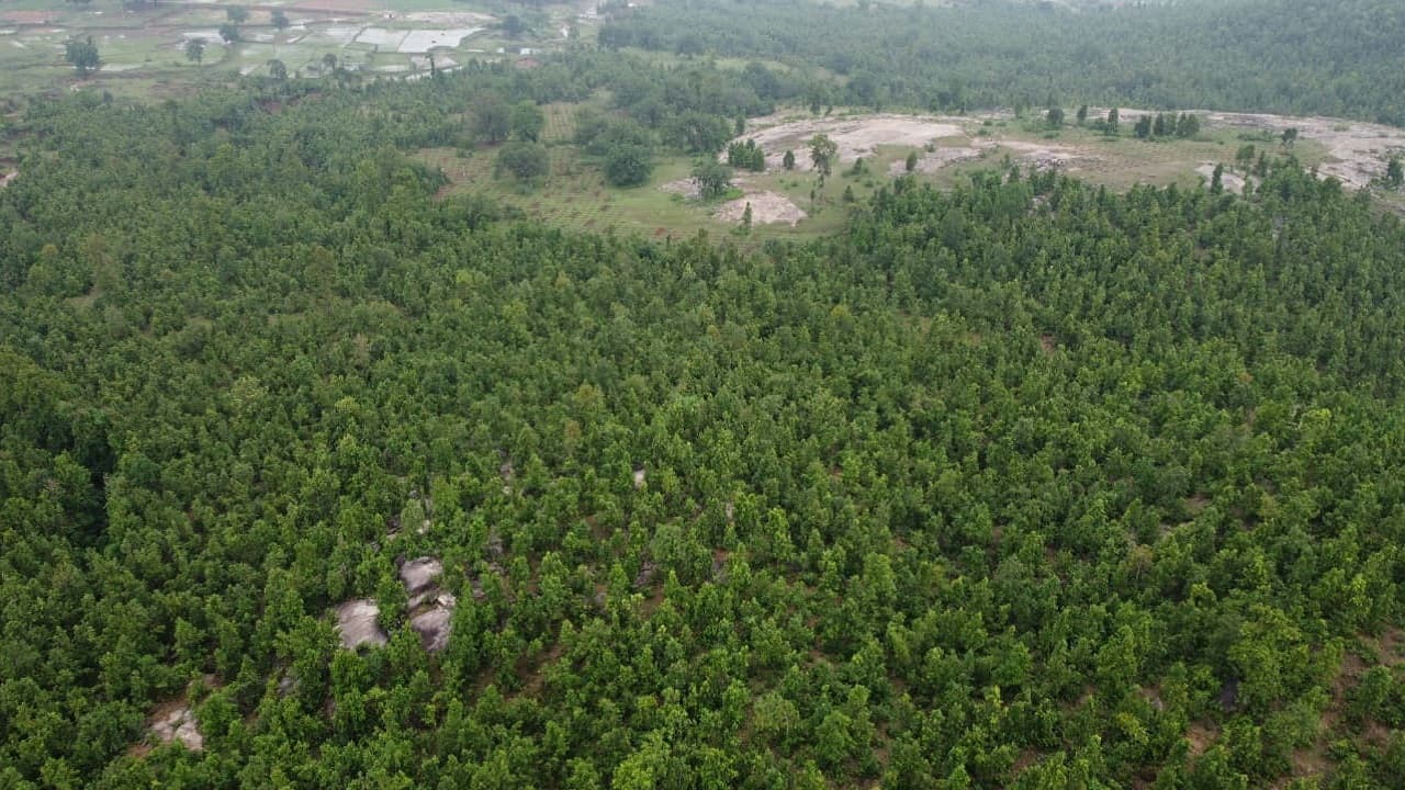 Jharkhand News: फर्जी पेपर बनवा कर बेची गई 100 करोड़ की वनभूमि, प्रभात खबर ने किया था भंडाफोड़