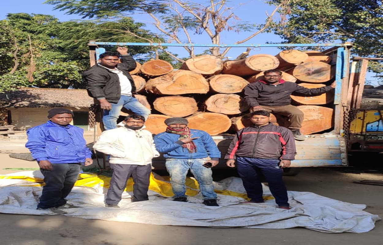 Wood Smuggling News: अवैध लकड़ी तस्करी मामले में वन विभाग ने कसा शिकंजा, गुमला में 5 लाख से अधिक साल लकड़ी हुआ जब्त