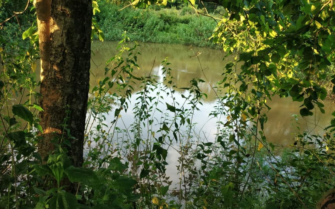 हरियाणा जाने से पत्नी ने किया इनकार, तो पति ने 4 माह के बच्चे को नाले में फेंका, हुई मौत