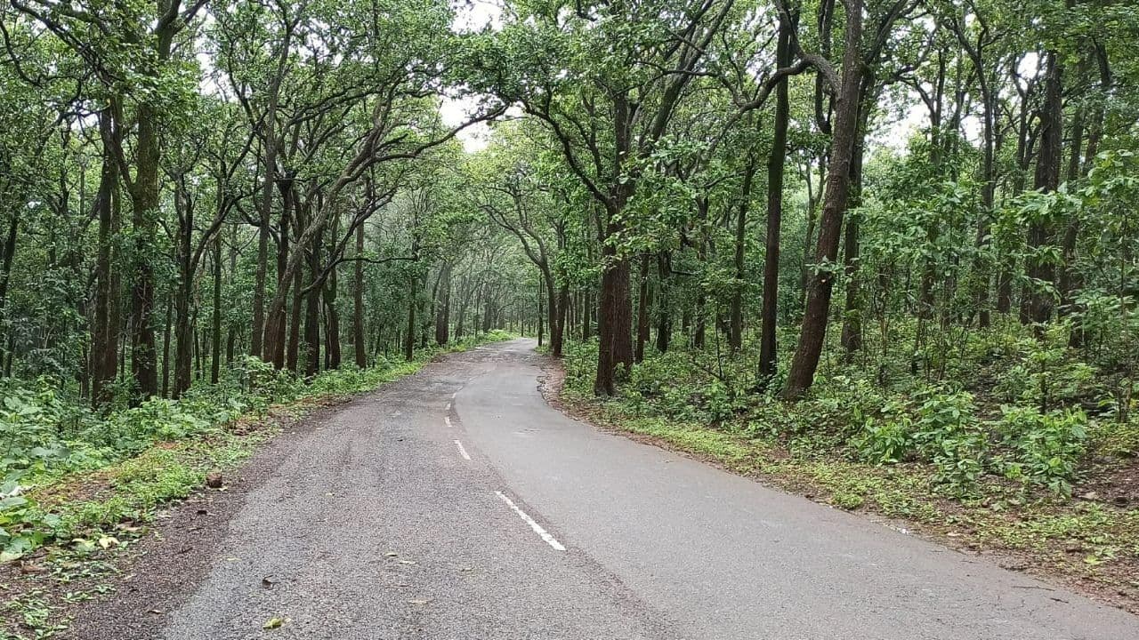 Weather Forecast: शारदीय नवरात्र में बारिश के आसार, झारखंड में मेला घूमनेवालों का मजा हो सकता है किरकिरा