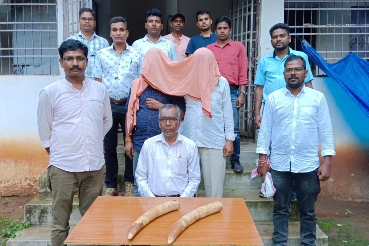 ओडिशा में तस्करी से पहले वन विभाग ने फिल्मी अंदाज में जब्त किए हाथी के दो दांत, दो तस्कर भेजे गए जेल