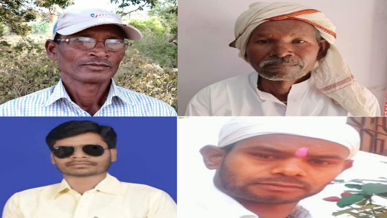 Sarhul 2022: सरहुल पूजा में सरई के फूल और आम के पत्तों का क्या है महत्व, जानें