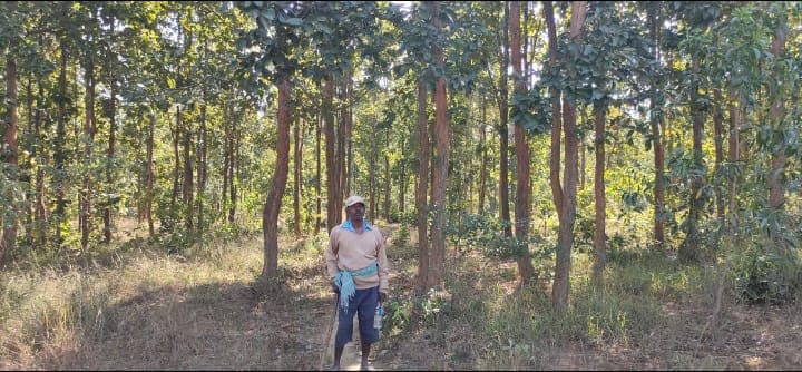 देश सेवा के बाद रिटायर्ड सैनिक बंधन उरांव ने वीरान जंगल में लायी हरियाली, पेंशन की राशि से पढ़े गांव के बच्चे कर रहे विदेश में नौकरी, पढ़िए पूरी कहानी