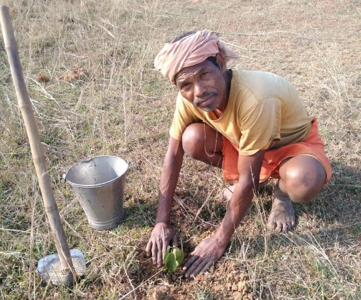 Self Employment Mantra : झारखंड के ग्रेजुएट किसान चंद्रशेखर रोजाना करते हैं पौधरोपण, पलायन करने वाले युवाओं को दे रहे स्वरोजगार का मंत्र